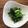 栗丸うさぎ's cooksnap of when they made ごま油香るほうれん草のおひたし.