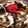☻☻☻☻☻☻☻☻☻☻'s cooksnap of when they made おから煮リメイク？オープンお好み焼き？.