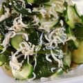 kumitch's cooksnap of when they made 胡瓜とちりめんのスピード酢の物.