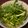 ぞんぞん's cooksnap of when they made 水菜とささ身のさっぱりサラダ.
