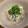 ｗａｔａｃｈａｉ's cooksnap of when they made 混ぜるだけ！しらすとワカメの豆腐和え.