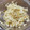コロどろっぷ's cooksnap of when they made 茗荷とキャベツのごまポン和え.