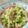 ぽーころにゃろ's cooksnap of when they made 簡単☆キャベツとベーコンの温サラダ.