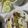 クック0LOOXL☆'s cooksnap of when they made 秋を感じるさつまいもご飯.