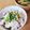 ゆかりんご117♪'s cooksnap of when they made 豚しゃぶネギ塩丼.