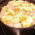 Aloha☆★'s cooksnap of when they made ストウブですいとん.