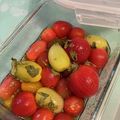 ひろりんh's cooksnap of when they made 簡単！ミニトマトの甘酢マリネ.