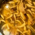 たつまきPAPAさん's cooksnap of when they made 鶏肉と葱の塩スープ.