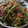 Jintomilk's cooksnap of when they made ピーマンとジャコ炒め♪簡単.