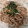 大森ヨーグルト's cooksnap of when they made 豚ロースともやしの甘辛ごま炒め.