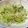 アス原タコ美's cooksnap of when they made そうめんうりの酢の物☆給食メニュー.