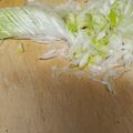 yasuna313's cooksnap of when they made 【楽々　簡単】長葱のみじん切り.