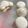 クックVJN55A☆'s cooksnap of when they made 純白バニラマカロン.