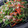 クックSEESE4☆'s cooksnap of when they made やみつき！ピーマンとツナの炒め.