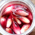 ☆クッキングパンダ☆'s cooksnap of when they made 簡単過ぎっ‼茗荷のらっきょう酢漬け♪.
