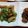 山ばあば's cooksnap of when they made おだしがしみたきざみあげと胡瓜の酢の物.