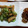 山ばあば's cooksnap of when they made おだしがしみたきざみあげと胡瓜の酢の物.