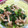 SaChi_2020's cooksnap of when they made レンジで2分　しめじとネギのレンジ蒸し.