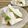 イベ長's cooksnap of when they made 野菜スティックのたれ.