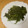 きらり流れ星's cooksnap of when they made ほうれんそうのゴマ和え.