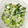 クックGB6431☆'s cooksnap of when they made 火を使わず♪キャベツと青じそのごま和え.