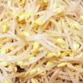 ぽぽりん's cooksnap of when they made ピンピンのもやし、水から茹でれば大丈夫.