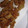 kyokoha's cooksnap of when they made 焼肉のタレで！えのきの唐揚げ.