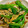 ☆megunyan☆'s cooksnap of when they made 減塩 豚、れんこん、ししとうの甘辛炒め.