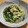 daikanon's cooksnap of when they made 小松菜・えのき・おあげの煮浸し.