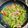 o^o^oayuayu's cooksnap of when they made 豚バラ肉と野菜のピリ辛味噌炒め！.