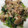 まぁじ's cooksnap of when they made ほうれん草＆しめじの梅かつお和え.