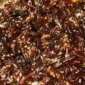 knkt_az's cooksnap of when they made 昆布と椎茸の佃煮.