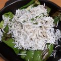 yumelon88's cooksnap of when they made 焼きピーマンのしらすのっけ.