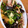 arare0904's cooksnap of when they made キクラゲと卵と豚肉の炒め物.
