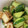 ☆motsu☆'s cooksnap of when they made 厚揚げときゅうりの簡単炒め.