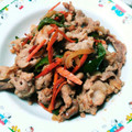 DORA＊DORA's cooksnap of when they made 【作り置き・冷凍保存】豚肉の甘辛炒め.