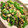 とっぽぎがおちゃん's cooksnap of when they made ピーマンのそぼろ炒め.