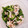 にしあまね's cooksnap of when they made 簡単、ゴーヤと鶏ささみの塩わさび和え.