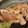 マールマル's cooksnap of when they made 塩豚焼き.