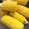 ☆こまっと☆'s cooksnap of when they made とうもろこし茹で方☆簡単.