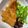 クック4PY7HN☆'s cooksnap of when they made 簡単トンテキ　お弁当に〇.