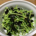 さっちゃん♡♡♡'s cooksnap of when they made 簡単⭐️栄養満点⭐️豆苗ナムル.