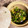 ぽんきちぽん's cooksnap of when they made 夏野菜の麺つゆ和え(山形のだし風).