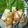 クックJQBI5B☆'s cooksnap of when they made 長芋の豚バラ巻き☆梅ソース添え.