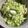 yuiyuwa's cooksnap of when they made やみつき！キャベツのうまうまサラダ.