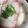 ちゃぎー's cooksnap of when they made 2種のまぐろの山かけ丼.