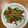 ふとまきこまP's cooksnap of when they made じゃこ天とピーマンの炒めたの.