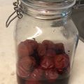 ゆいゆうさん's cooksnap of when they made 梅干しの漬け方&作り方.