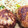 かめクック♪'s cooksnap of when they made 失敗しないハンバーグの焼き方.