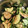 saki1010's cooksnap of when they made 茄子とオクラとズッキーニの簡単和風サラダ.